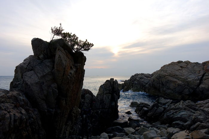 주상절리의 위용이 걷는 이를 압도한다.