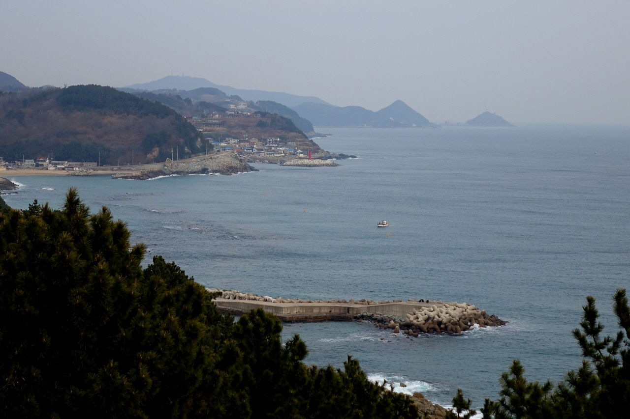 - 영덕 블루로드 12