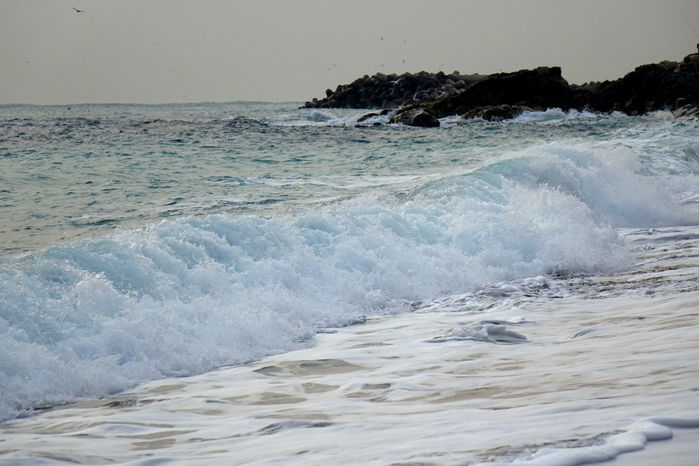 - 영덕 블루로드 13