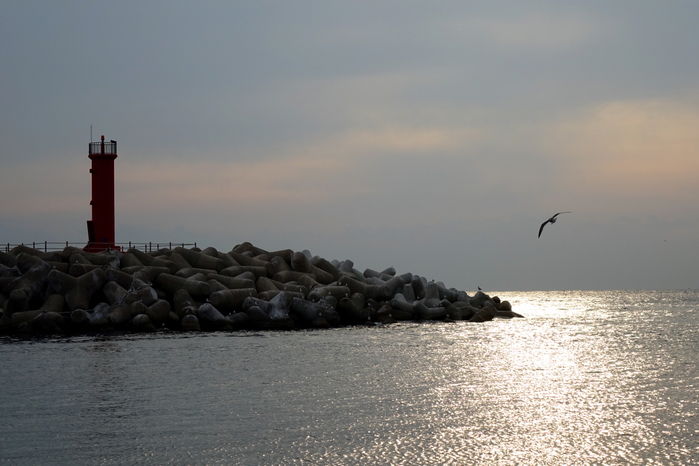 - 영덕 블루로드 15