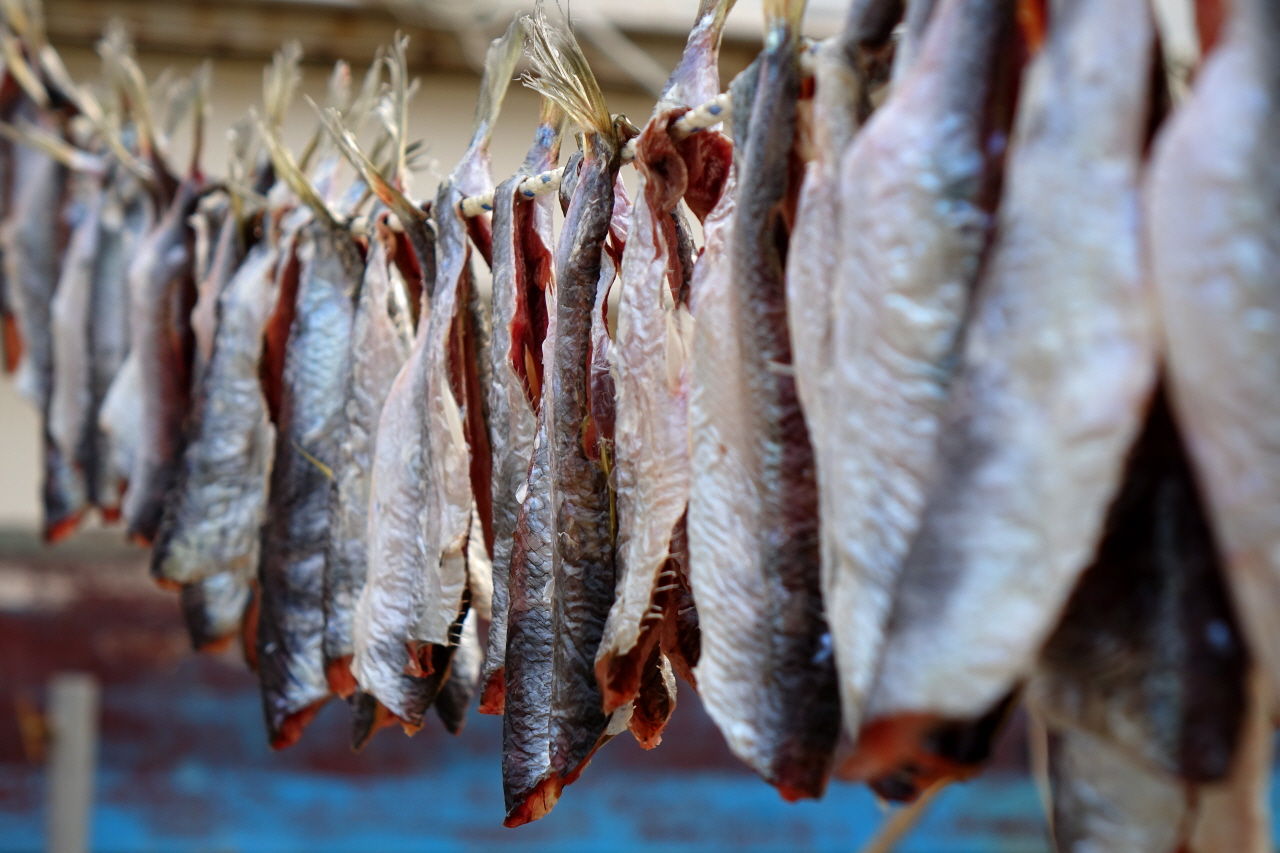 - 영덕 블루로드 16