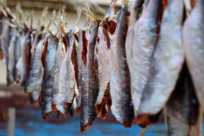 - 영덕 블루로드 16