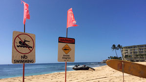 하와이 마우이 바다서 상어 공격&hellip;60대 美 남성 숨져