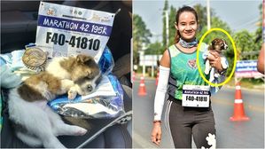 [Pick] 경기 중 길 잃은 강아지 발견한 마라토너, 품에 안고 완주