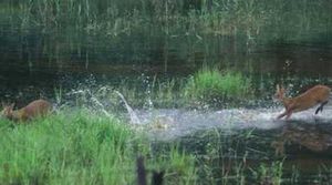 경기도, DMZ 세계유산 등재 추진&hellip;북한과 공조도 검토