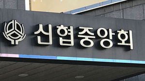 새마을금고&middot;농협 이어 신협도 '가계대출 규제' 나선다