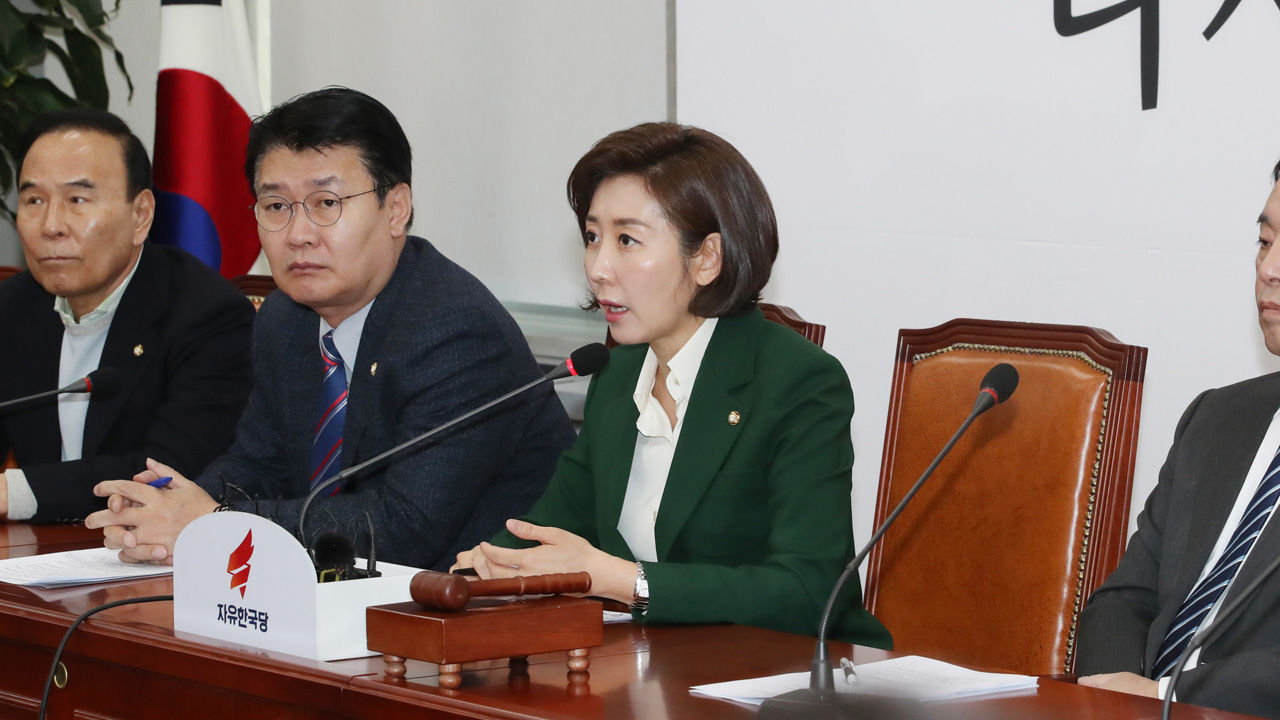 나경원 "與 지방선거 때 新북풍 재미 봐…총선땐 계획도 말아야"