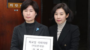 민주당, '스트립바 방문 의혹' 최교일 징계안 제출