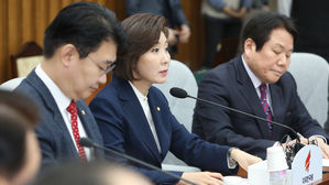 나경원 "'손혜원 국조'하면 이해충돌 해결 국회특위 당장 합의"