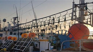 한국 오징어 원양어선, 아르헨에 나포&hellip;"EEZ 침범 주장"