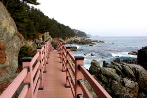 [라이프] '인생이란 찰나를 사는 것' - 영덕 블루로드 B코스를 걷다 ②