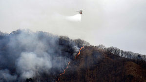 경기 포천시 미군 사격장서 산불&hellip;임야 1.5ha 소실