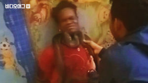 인도네시아 최신 수사기법의 등장?! '뱀 고문' 비인간적 신문 논란