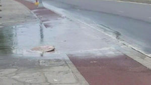 신화역사공원 하수 역류 특혜 의혹 확인됐는데&hellip;'솜방망이 처분'