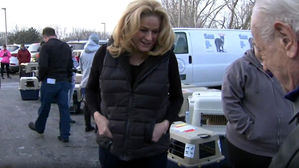 한국 개농장서 구조된 식용견 64마리, 미국 시카고에 도착