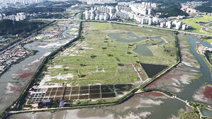 인천 시내 46곳에 '여의도 맞먹는 면적' 공원 만든다