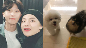 [SBS Star] V & Park Seo Jun's Dogs Are Also Close Friends?