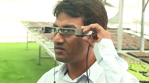 메마른 사막에 농작물 '활짝'&hellip;한국 기술이 해냈다