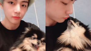 [SBS Star] BTS V Expresses Affection Towards His Dog with the Sweetest Kiss