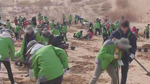 경기도, 中 사막에 조림사업 추진&hellip;미세먼지 줄어들까