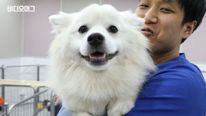 반려동물 입양 위해 '수업'을 받는다?&hellip;"입양도 공부가 필요합니다"