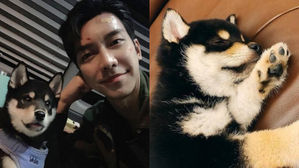 [SBS Star] Lee Seung Gi's Adorable Dog Visits His 'VAGABOND' Filming Set