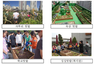 "자투리 텃밭 도전하세요" 서울시 올해 도시 텃밭 205곳 조성