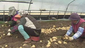 "비어가는 농촌 살리자"&hellip;전북 '농민수당' 지급 추진