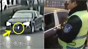 [Pick] 차량 단속 피하려 운전자가 사용한 '황당한' 꼼수