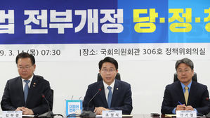 당&middot;정&middot;청 "주민조례발안제 도입&hellip;지방의회에도 윤리위 설치"