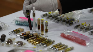 미국&middot;캐나다에서 대마류 반입 적발 303% 급증&hellip;세관검사 강화