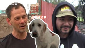 물불 가리지 않는 미국인들의 견공 사랑