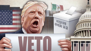 美 하원, '트럼프 비토' 비상사태 결의안 26일 재표결