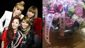 [SBS Star] 2NE1 Members Boast Their Ongoing Friendship by Continuously Supporting Each Other