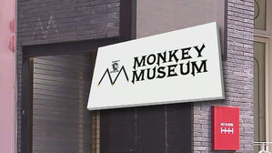 몽키뮤지엄, 비호&middot;유착 속 불법 영업&hellip;"단속 뜨면 돈 찔러주자"
