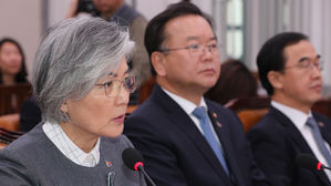 강경화 "美가 하노이서 요구한 건 핵폐기 아닌 동결"