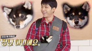 [SBS Star] VIDEO: Lee Seung Gi's Dog 'Perro' Makes His Grand TV Debut!