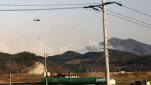 경남 함안 돼지농장에서 불&hellip;돼지 430여 마리 떼죽음