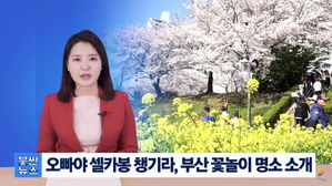 사투리로 전하는 뉴스?&hellip;부산시 '붓싼뉴스' 인기