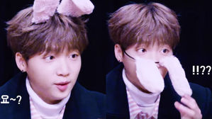 [SBS Star] VIDEO: Times When Headbands Betrayed Jeong Sewoon