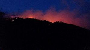 전남 순천 야산서 불&hellip;6시간 넘게 진화 작업 중