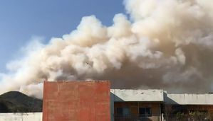 부산 해운대 산불 확산&hellip;불씨 바람 타고 수십ｍ 날아다녀