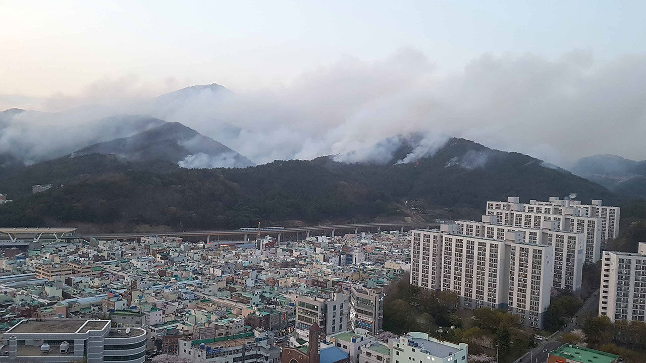 해운대 산불 (사진=연합뉴스)