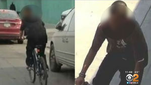 [Pick] LA서 자전거 타고 "무차별" 흉기 테러&hellip;용의자 체포