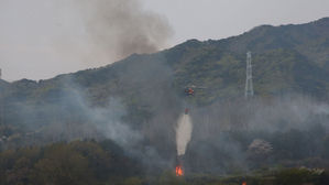 경북 포항 또 산불&hellip;창포동 야산서 1시간여 만에 진화