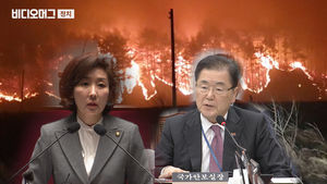 강원 산불 번질 때 靑 안보실장이 국회에 있어야 했던 이유는?