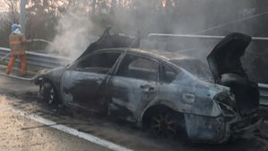 고속도로 승용차 화재 산으로 번져&hellip;50분 만에 진화