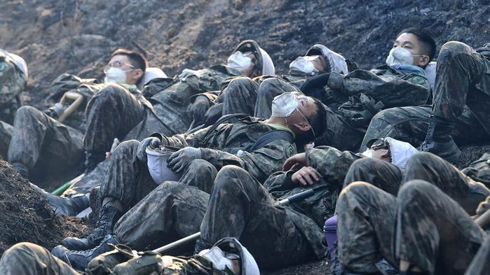 산불 지원 육군 장병