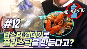 [NO플라스틱 #12] 랍스터 껍데기로 플라스틱을 만든다고?