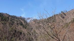 양구 산불 (사진=강원도 소방본부 제공, 연합뉴스)